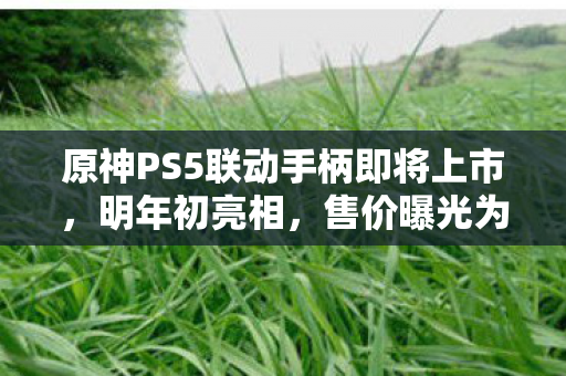 原神PS5联动手柄即将上市，明年初亮相，售价曝光为639元！