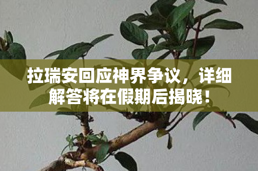 拉瑞安回应神界争议，详细解答将在假期后揭晓！