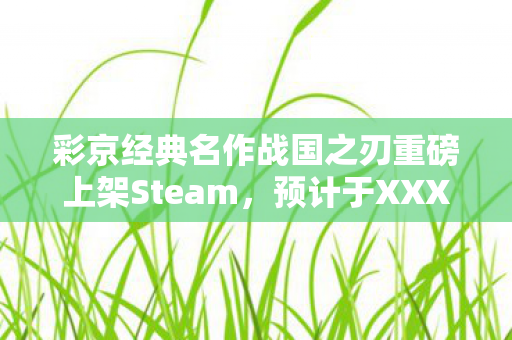 彩京经典名作战国之刃重磅上架Steam，预计于XXXX年Q1季度发售