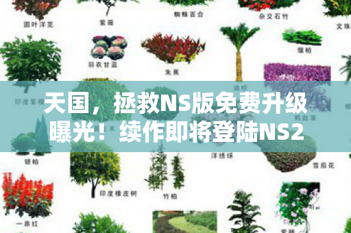天国，拯救NS版免费升级曝光！续作即将登陆NS2