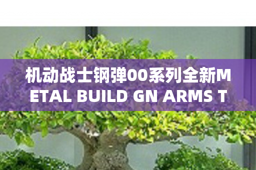 机动战士钢弹00系列全新METAL BUILD GN ARMS TYPE-E震撼上市！
