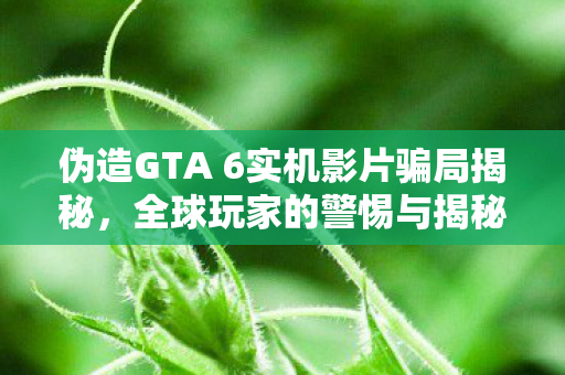伪造GTA 6实机影片骗局揭秘，全球玩家的警惕与揭秘之旅