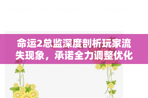 命运2总监深度剖析玩家流失现象，承诺全力调整优化游戏体验