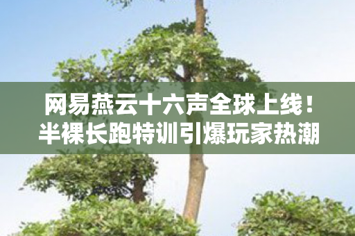网易燕云十六声全球上线！半裸长跑特训引爆玩家热潮