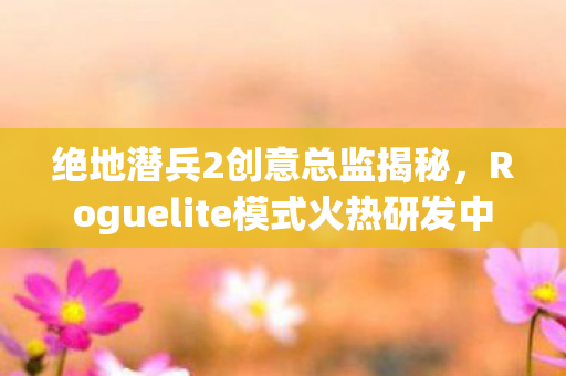 绝地潜兵2创意总监揭秘，Roguelite模式火热研发中