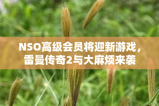 NSO高级会员将迎新游戏，雷曼传奇2与大麻烦来袭