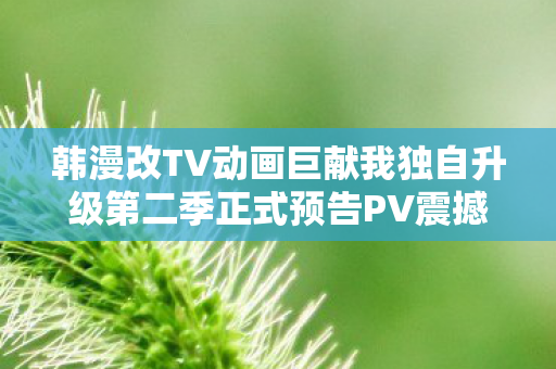 韩漫改TV动画巨献我独自升级第二季正式预告PV震撼公开！