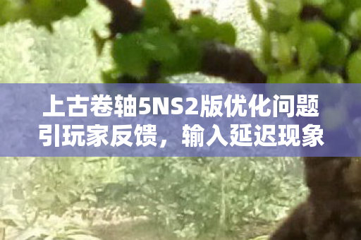 上古卷轴5NS2版优化问题引玩家反馈，输入延迟现象频发