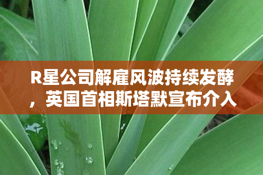 R星公司解雇风波持续发酵，英国首相斯塔默宣布介入调查