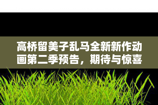 高桥留美子乱马全新新作动画第二季预告，期待与惊喜的重逢