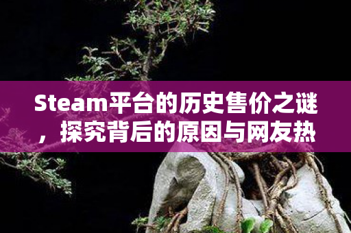Steam平台的历史售价之谜，探究背后的原因与网友热议