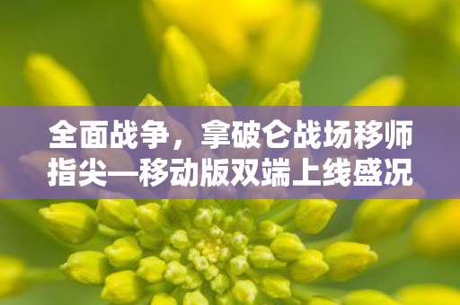 全面战争，拿破仑战场移师指尖—移动版双端上线盛况