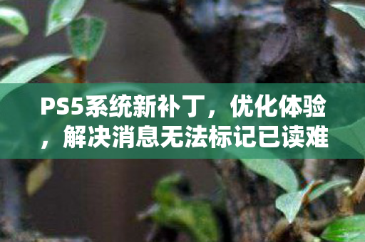 PS5系统新补丁，优化体验，解决消息无法标记已读难题