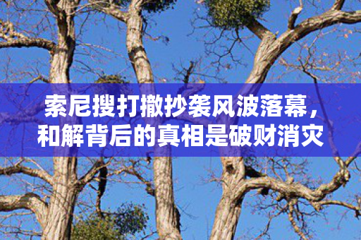 索尼搜打撤抄袭风波落幕，和解背后的真相是破财消灾吗？