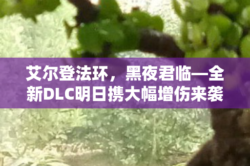 艾尔登法环，黑夜君临—全新DLC明日携大幅增伤来袭