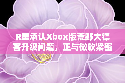 R星承认Xbox版荒野大镖客升级问题，正与微软紧密合作解决