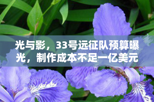 光与影，33号远征队预算曝光，制作成本不足一亿美元！