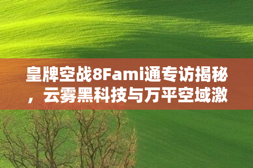 皇牌空战8Fami通专访揭秘，云雾黑科技与万平空域激战