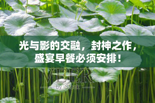 光与影的交融，封神之作，盛宴早餐必须安排！