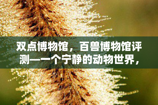 双点博物馆，百兽博物馆评测—一个宁静的动物世界，并非疯狂的动物城
