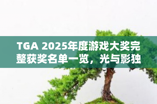 TGA 2025年度游戏大奖完整获奖名单一览，光与影独领风骚，荣耀满载！
