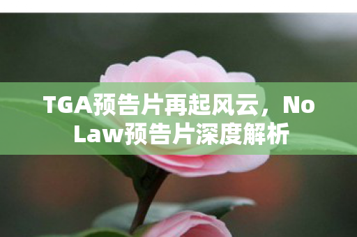 TGA预告片再起风云，No Law预告片深度解析
