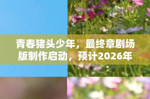 青春猪头少年，最终章剧场版制作启动，预计2026年上映