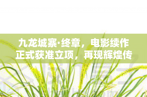 九龙城寨·终章，电影续作正式获准立项，再现辉煌传奇