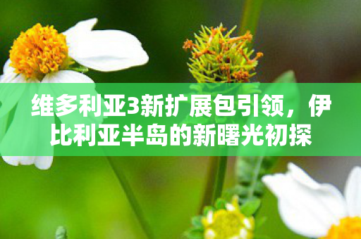 维多利亚3新扩展包引领，伊比利亚半岛的新曙光初探