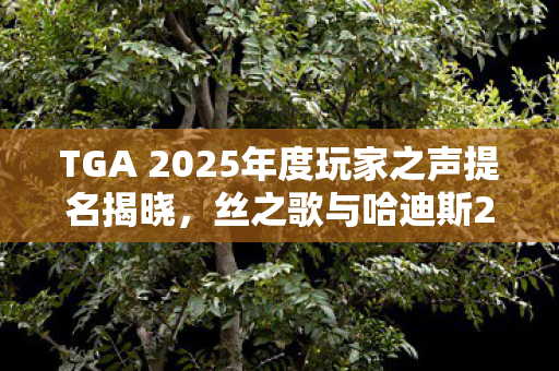 TGA 2025年度玩家之声提名揭晓，丝之歌与哈迪斯2荣耀入选！