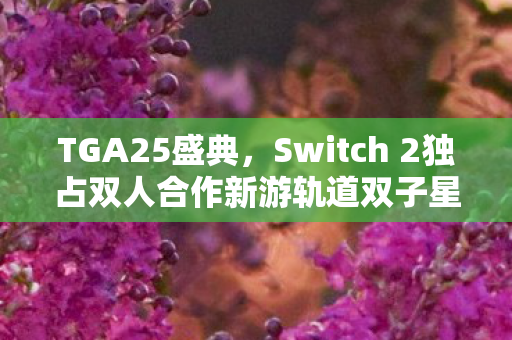 TGA25盛典，Switch 2独占双人合作新游轨道双子星震撼公布