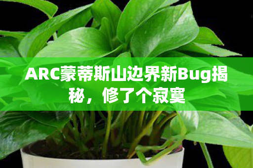 ARC蒙蒂斯山边界新Bug揭秘，修了个寂寞