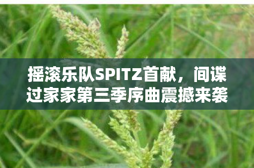 摇滚乐队SPITZ首献，间谍过家家第三季序曲震撼来袭