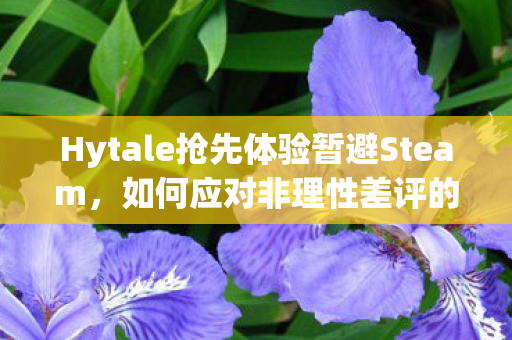 Hytale抢先体验暂避Steam，如何应对非理性差评的挑战
