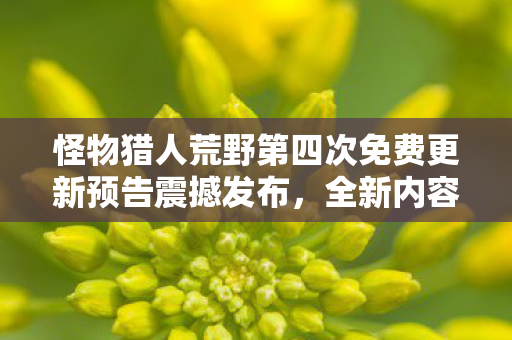 怪物猎人荒野第四次免费更新预告震撼发布，全新内容即将登陆