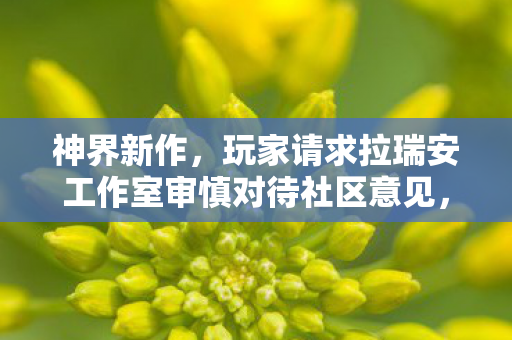 神界新作，玩家请求拉瑞安工作室审慎对待社区意见，避免过度修改