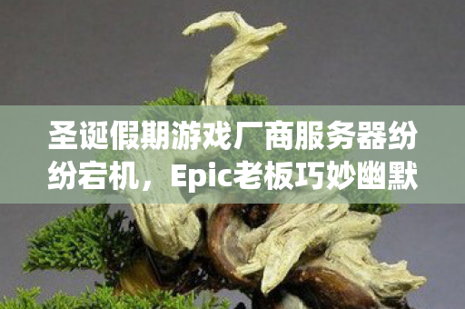 圣诞假期游戏厂商服务器纷纷宕机，Epic老板巧妙幽默致歉