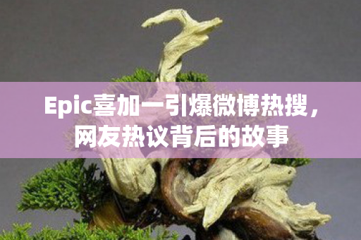 Epic喜加一引爆微博热搜，网友热议背后的故事