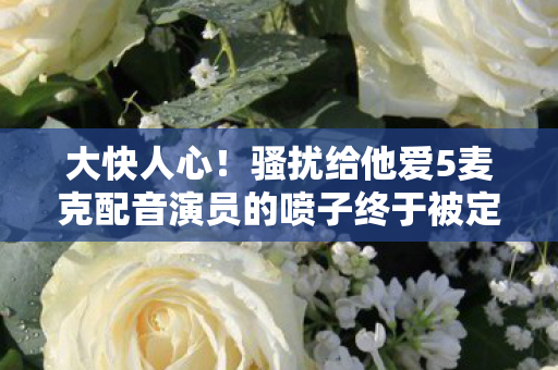 大快人心！骚扰给他爱5麦克配音演员的喷子终于被定罪