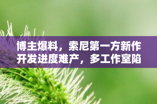 博主爆料，索尼第一方新作开发进度难产，多工作室陷入沉寂