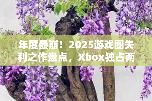 年度最崩！2025游戏圈失利之作盘点，Xbox独占两席