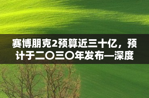赛博朋克2预算近三十亿，预计于二〇三〇年发布—深度分析机构的最新预测报告