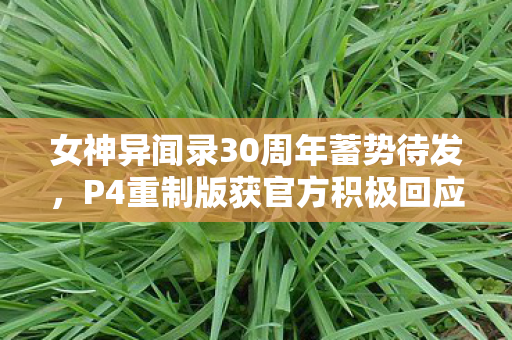 女神异闻录30周年蓄势待发，P4重制版获官方积极回应