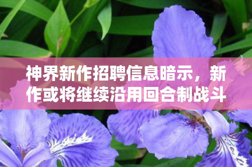 神界新作招聘信息暗示，新作或将继续沿用回合制战斗系统