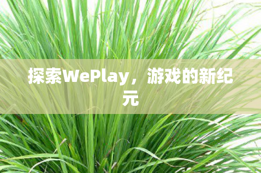 探索WePlay，游戏的新纪元
