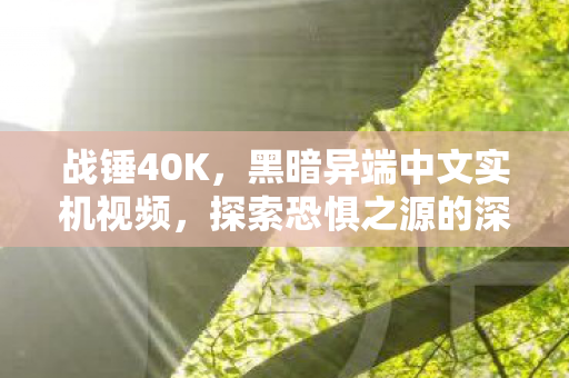 战锤40K，黑暗异端中文实机视频，探索恐惧之源的深度