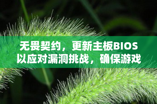 无畏契约，更新主板BIOS以应对漏洞挑战，确保游戏顺利运行