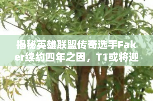 揭秘英雄联盟传奇选手Faker续约四年之因，T1或将迎来其职业生涯终点