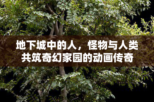 地下城中的人，怪物与人类共筑奇幻家园的动画传奇