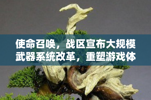 使命召唤，战区宣布大规模武器系统改革，重塑游戏体验